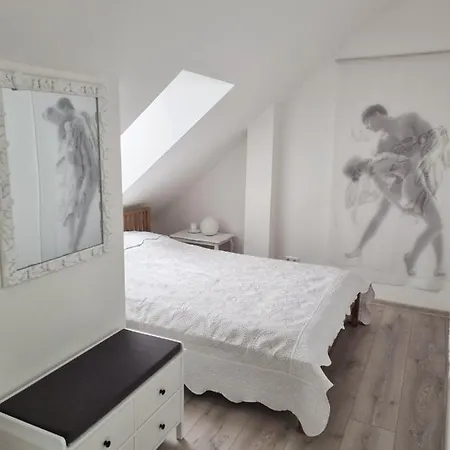 Апартаменты Gallery Balta Каунас